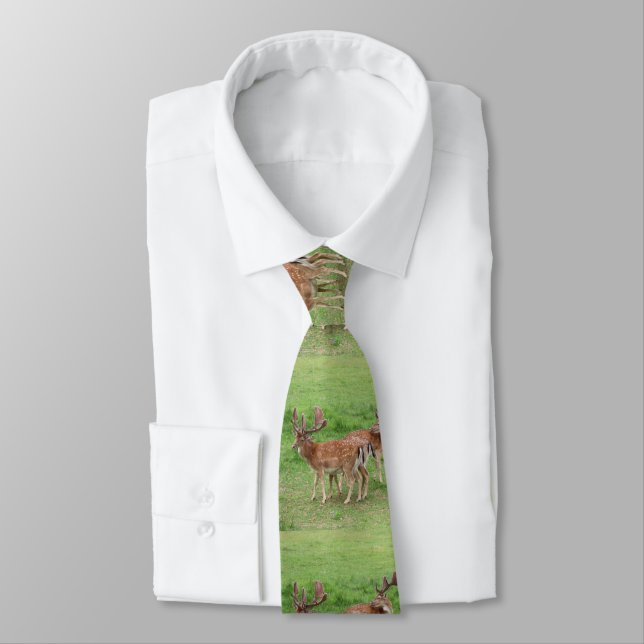 Tiere, Hirsche, wild lebende Tiere, Wald, Wiese, J Krawatte (Gebunden)
