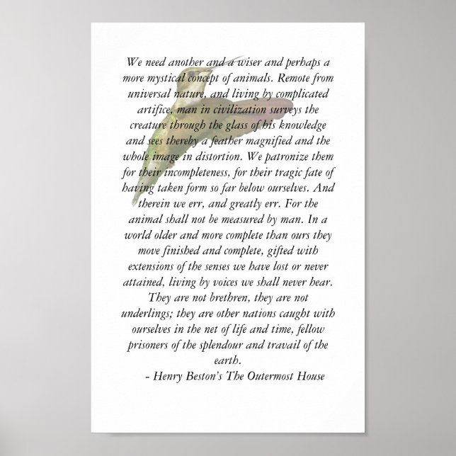 Tiere im Haus in äußerster Randlage Poster (Vorne)