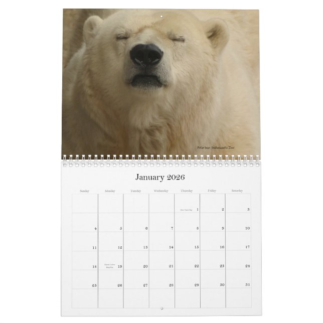 Tiere in einer einwohnerstarken Stadt - Kalender (Jan 2026)