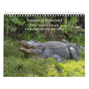 Tiere in Gatorland 2026 Kalender