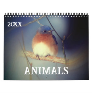 Tiere Kalender