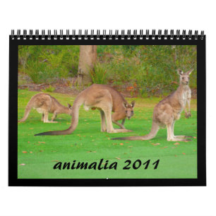 Tiere - Kalender 2011