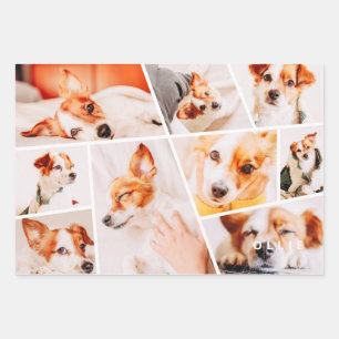 Tiere Moderne, einfache 9-Foto-Sammlung Geschenkpapier Set