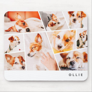 Tiere Moderne, einfache 9-Foto-Sammlung Mousepad