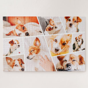 Tiere Moderne, einfache 9-Fotos-Sammlung