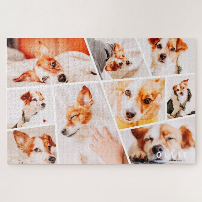 Tiere Moderne, einfache 9-Fotos-Sammlung (Horizontal)