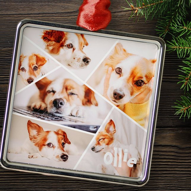 Tiere Modernes, benutzerdefiniertes 6-Bilder-Colla Ornament Aus Metall (Von Creator hochgeladen)