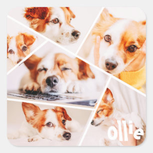 Tiere Modernes, benutzerdefiniertes 6-Bilder-Colla Quadratischer Aufkleber
