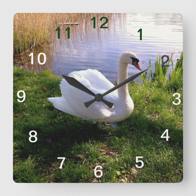 Tiere Quadratische Wanduhr (Vorderseite)