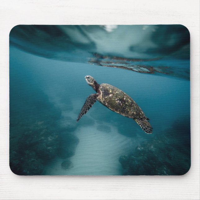 Tiere, Schildkröten, Wasser Mousepad (Vorne)