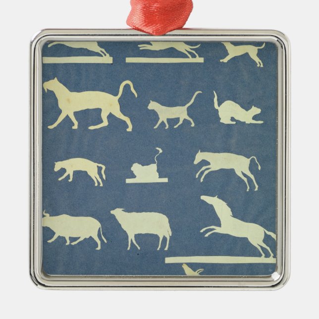 Tiere Silbernes Ornament (Vorne)