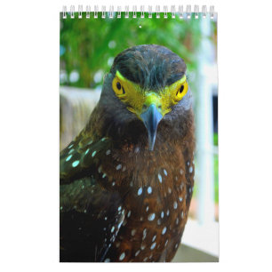 Tiere und Haustiere Kalender