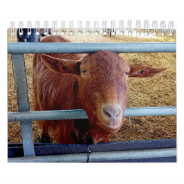 Tiere und Insekten aus der englischen Landschaft Kalender