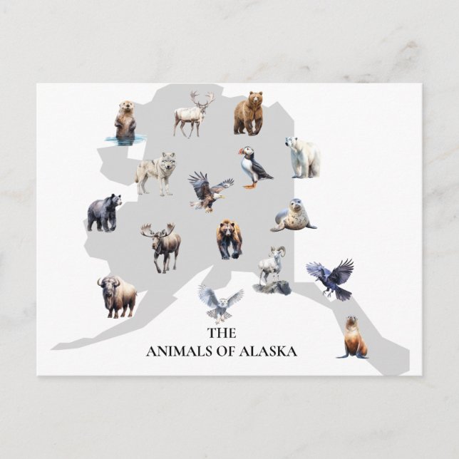 Tiere von Alaska Nordamerika Postkarte (Vorderseite)