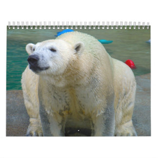 Tiere von Brookfield Zoo Kalender