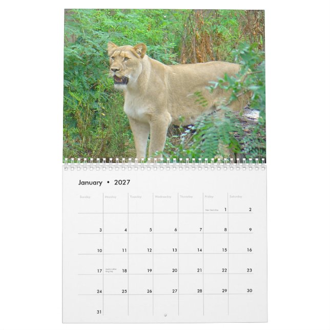 Tiere von Brookfield Zoo Kalender (Jan 2027)