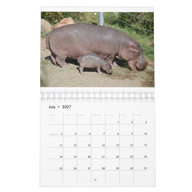 Tiere weltweit 5,5" x 7" Kalender 2021 (Jul 2027)