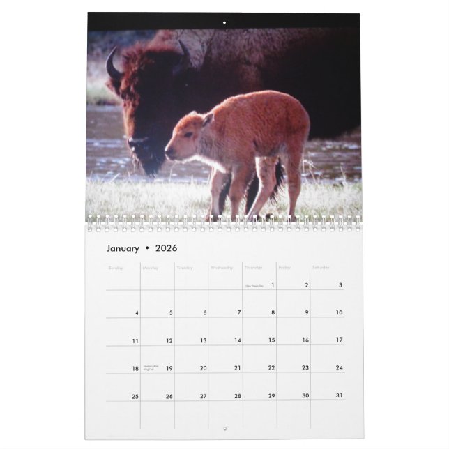 Tiere Yellowstonegewohnheit Druckkalenders Kalender (Jan 2026)