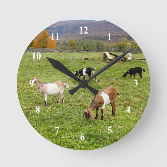Tiere Ziegen Weiden Vermont Foto Runde Wanduhr (Vorderseite)