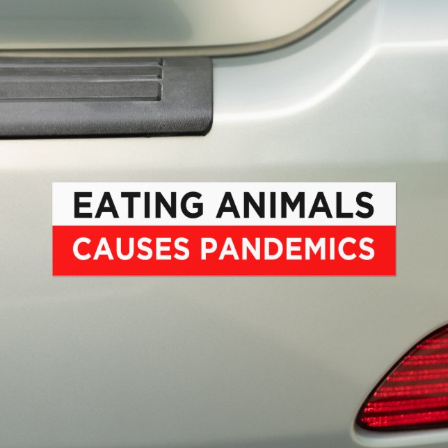 Tiere zu essen verursacht vegan Pandemien Autoaufkleber (Auf Auto)