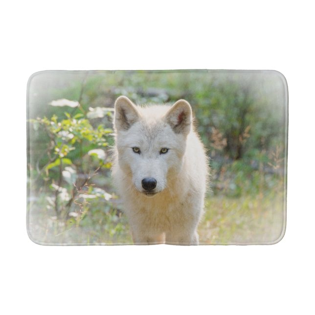 Tierfotografie, Grauer Wolf Badematte (Vorderseite)