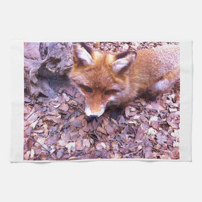 Tierfox-Waldbüro-Party-Duschen-Digital-Kunst Geschirrtuch (Horizontal)