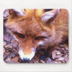 Tierfox-Waldbüro-Party-Duschen-Digital-Kunst Mousepad