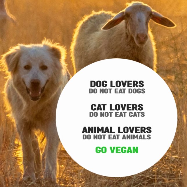 Tierfreunde essen keine Tiere, Veganer Aktivismus, Runder Aufkleber (Von Creator hochgeladen)