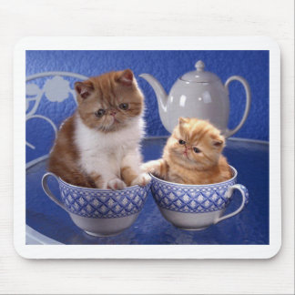 Tierfreundschaft Mousepad