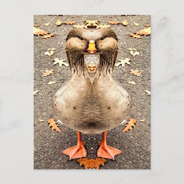 TIERFUN POSTKARTE (Vorderseite)