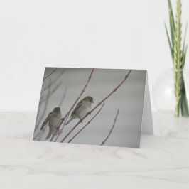 Tiergruß-Karte des vogel-Spatzen-1 Karte