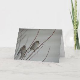 Tiergruß-Karte des vogel-Spatzen-1 Karte