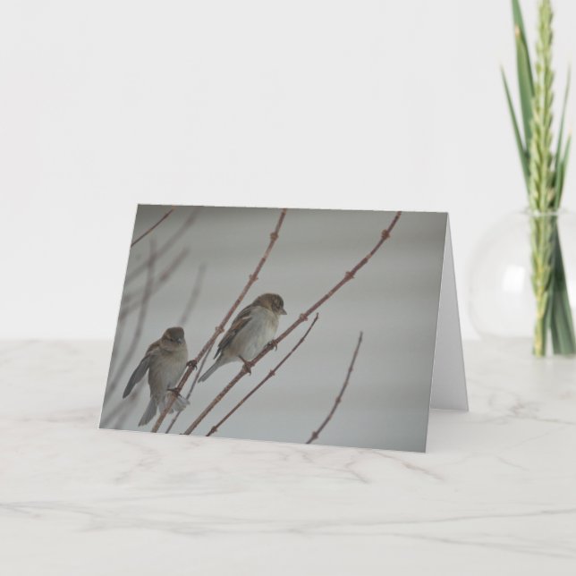 Tiergruß-Karte des vogel-Spatzen-1 Karte (Vorderseite)