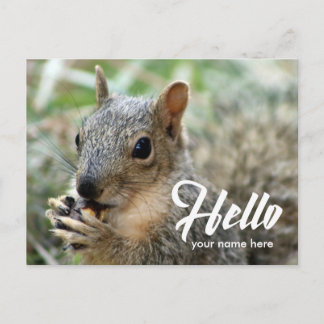 Tierhörnchen lustig niedliche Hello-Postkarte Postkarte