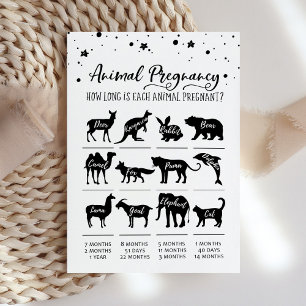 Tierische Schwangerschaft mit Answers Baby Showcar Einladung