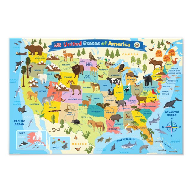 Tierische US-Karte für Kinder Fotodruck (Vorne)