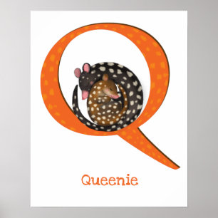Tierisches ABC Q ist ein Quoll-Druck Poster