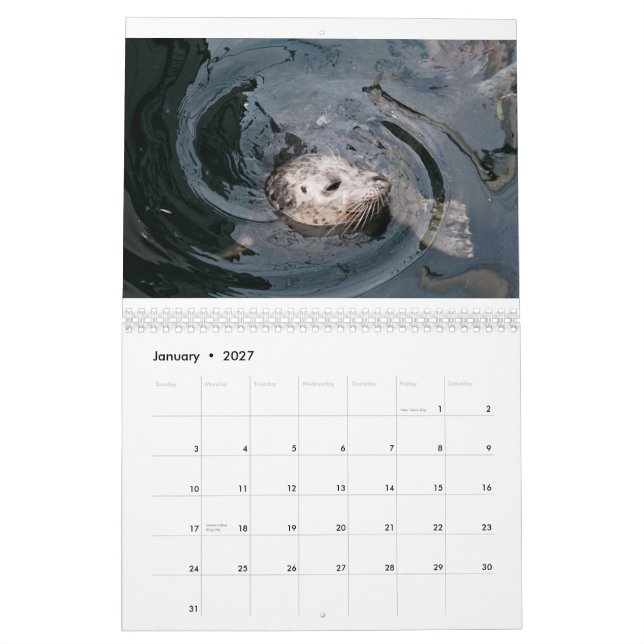 Tierisches Diversity Kalender (Jan 2027)