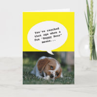 tierisches Foto Happy Hour Altes sonniges Geburtst