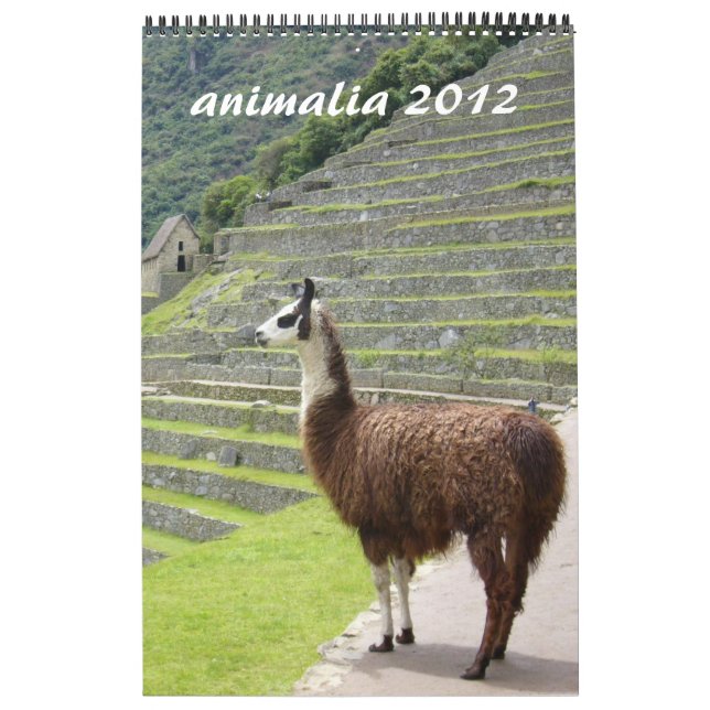 Tierkalender 2012 kalender (Titelbild)