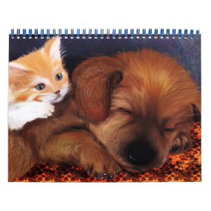 Tierkalender 2013 kalender