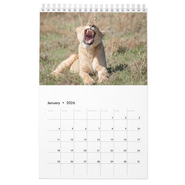 Tierkalender 2021 kalender (Jan 2026)