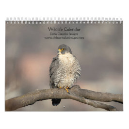 Tierkalender 2026 kalender