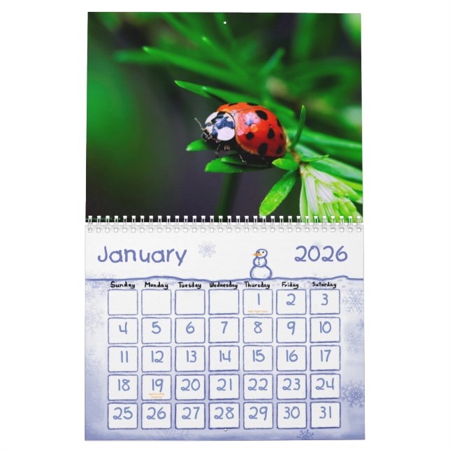 Tierkalender 5 kalender (Jan 2026)