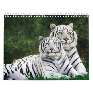 Tierkalender 8 kalender