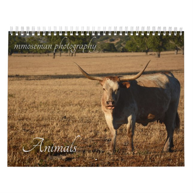 Tierkalender Kalender (Titelbild)