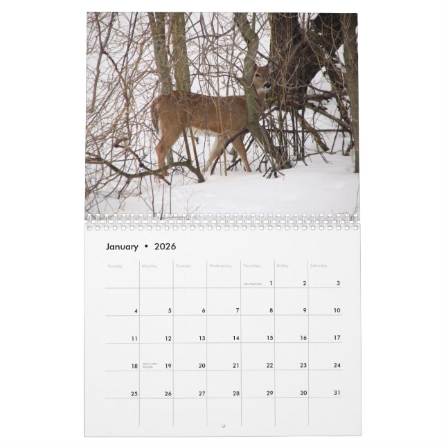 Tierkalender Kalender (Jan 2026)