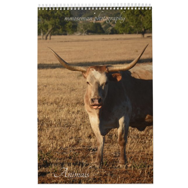 Tierkalender Kalender (Titelbild)