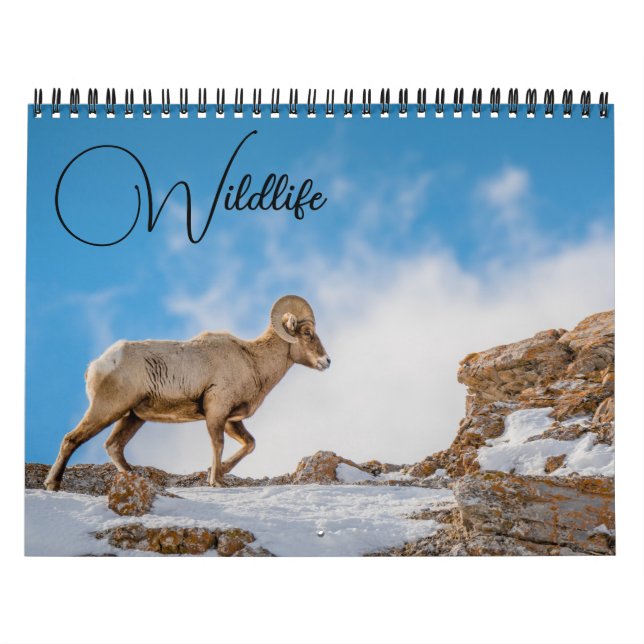 Tierkalender mit Beschriftungen Kalender (Titelbild)