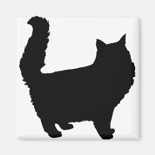 Tierkatze Fluffy HSM Verschiedene Kitten Kitty Pet Magnet
